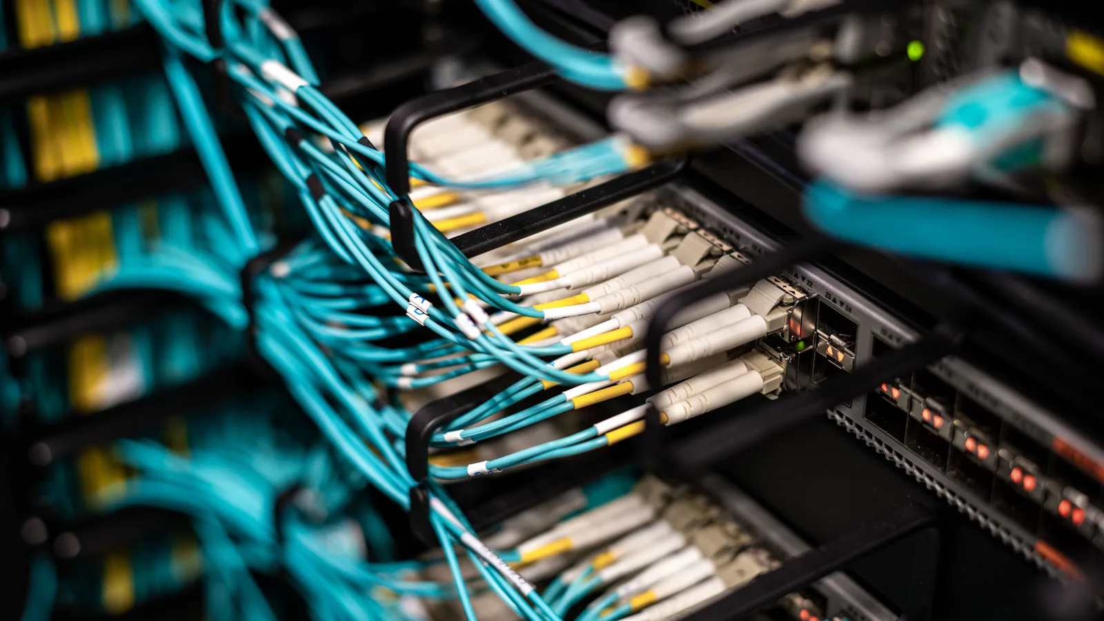 A patch panel with every cable labelled and routed to somewhere specific